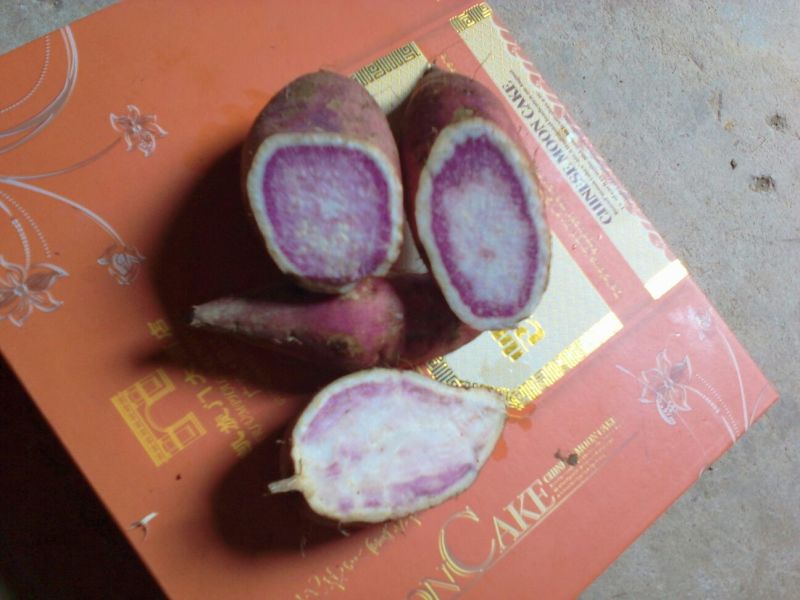 鸡蛋黄红薯