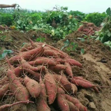臭豆腐包装