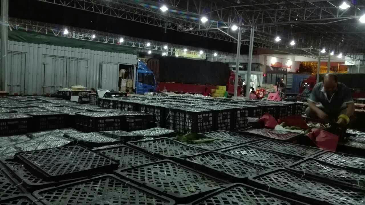 海南海口水果批发市场水果木瓜 1~1.5斤批发_