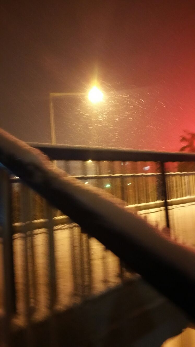 西西安市雁塔区架豆王豆角 20厘米以上批发_孙