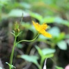 昌乐县益丰瓜菜合作社的一亩田店铺