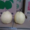 连新军的一亩田店铺
