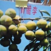 赵红梅的一亩田店铺