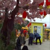 三台县立新镇绿之丰合作社的一亩田店铺