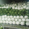 老二种植农民专业合作社的一亩田店铺
