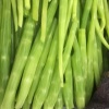 高三行的一亩田店铺