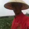 威海丰民大姜专业合作社的一亩田店铺