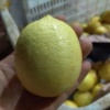 许苏海的一亩田店铺