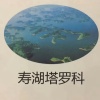 重庆市美凯生态农业有限公司的一亩田店铺