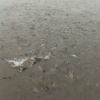 赵海霞的一亩田店铺
