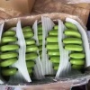 杨世刚的一亩田店铺