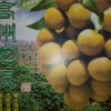 高州市沙田镇绿王水果合作社的一亩田店铺
