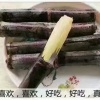 王金健的一亩田店铺