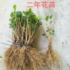 佛山创讯商贸有限公司的一亩田店铺