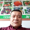 泰安市华翔苗木有限公司的一亩田店铺