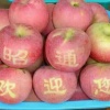 昭通市昭阳区宝农电子商务有限公司的一亩田店铺