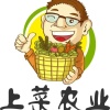广州上菜网络科技有限公司的一亩田店铺
