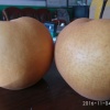 西平县老家沟合作社的一亩田店铺