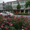 徐义成果蔬代办成的一亩田店铺