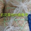 吕泽群的一亩田店铺