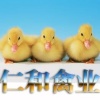 盐城仁和禽业的一亩田店铺