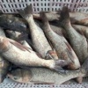 张银龙的一亩田店铺