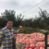 彤彤果品专业合作社的一亩田店铺