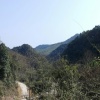新意超市的一亩田店铺