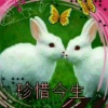 潘传兴的一亩田店铺