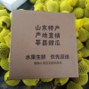 马凤荣的一亩田店铺