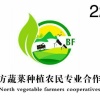 林甸县北方蔬菜种植合作社的一亩田店铺