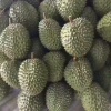 陈贞源的一亩田店铺