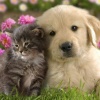 王文斌的一亩田店铺