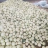 袁志强的一亩田店铺