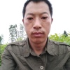 富华苗木的一亩田店铺