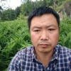 巴中市恩阳区旺发利康中药材合作社的一亩田店铺