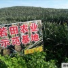 广西若田农业开发有限公司的一亩田店铺