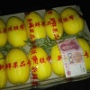 王俊雷蔬菜商行的一亩田店铺