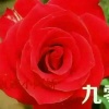 陆妍农业的一亩田店铺