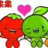 新疆伟志共创农业科技有限公司的一亩田店铺