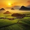 刘波的一亩田店铺