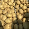 许明刚的一亩田店铺