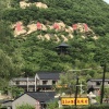 田雪松的一亩田店铺