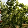 鲜益源果业的一亩田店铺