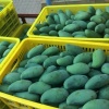 田海毅的一亩田店铺