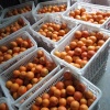 吴光胜的一亩田店铺