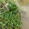 永芳药材种植合作社的一亩田店铺