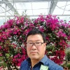 惠丰果业的一亩田店铺