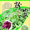 马松岭的一亩田店铺