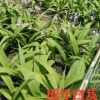 陶光辉的一亩田店铺